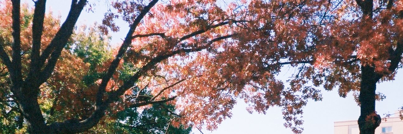 ryderpoye's profile banner image