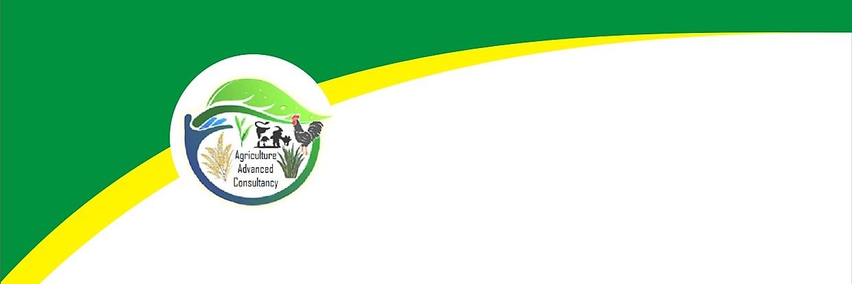 bsmamik's profile banner image