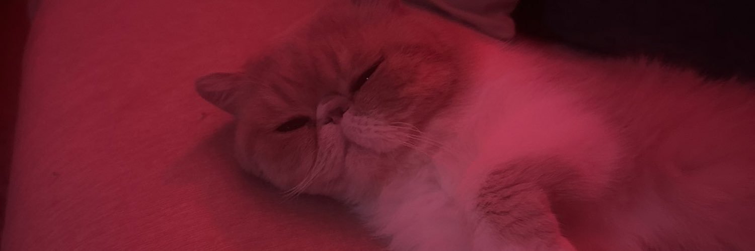 Alexia maya 💕🦋❤️ banner