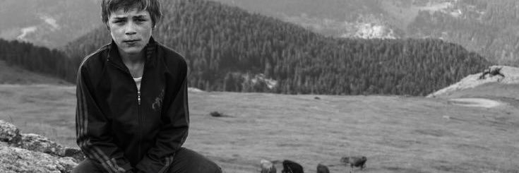 E banner