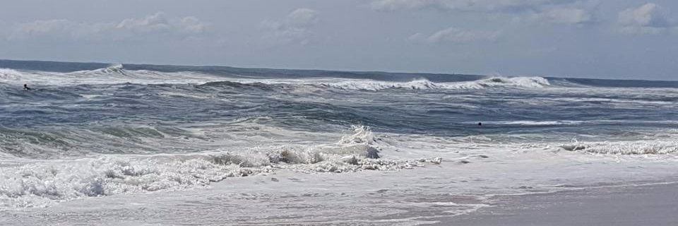 DougOlenick's profile banner image