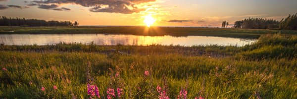 DehchoGohndi Profile Banner