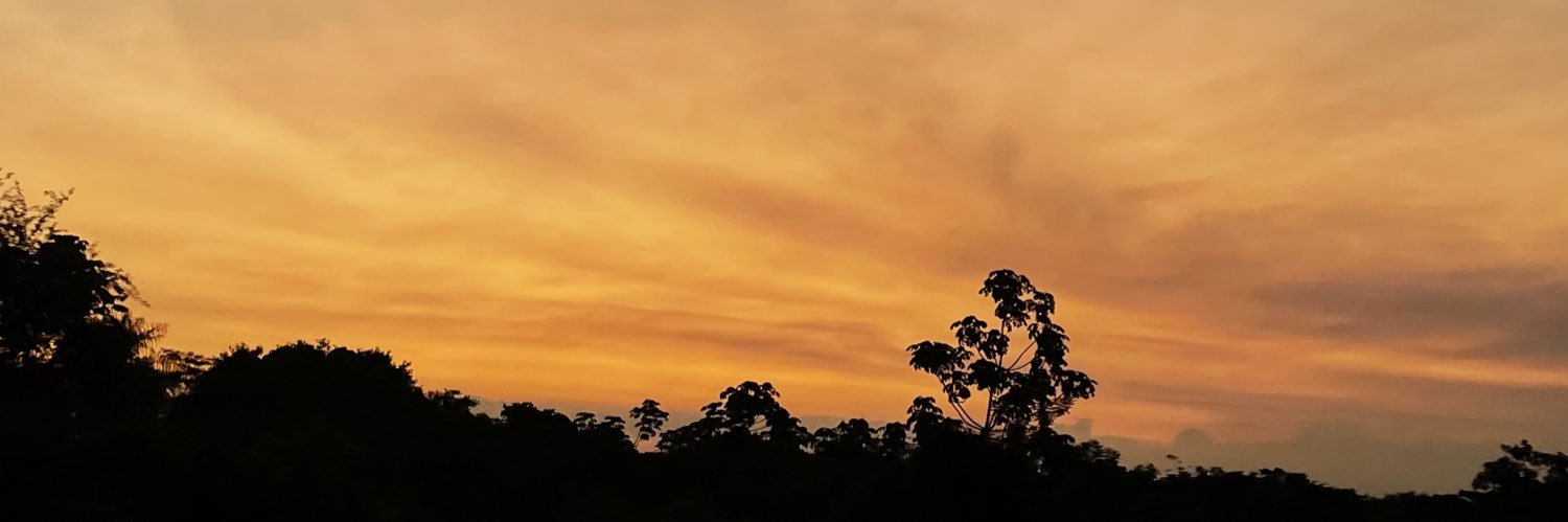 gomeztami_'s profile banner image