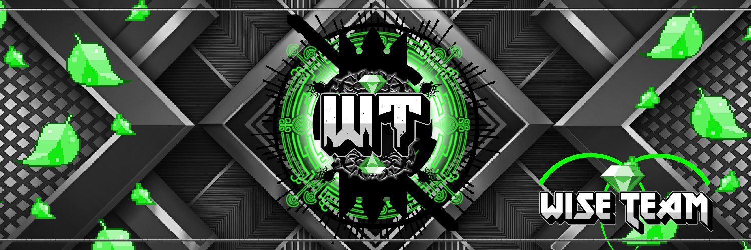 Wise Team banner