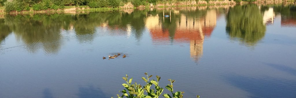 birgit_burkert's profile banner image