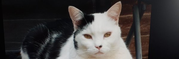 ScottHepburn4 Profile Banner