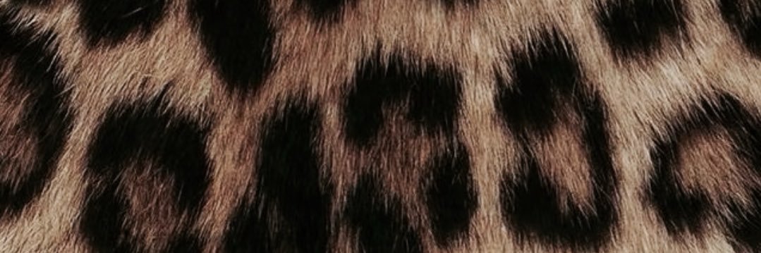 𝐯𝐞𝐚 banner