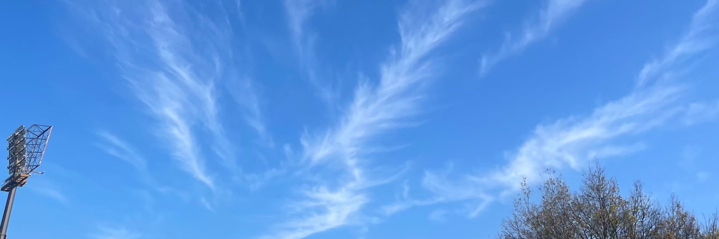 a girl in cricket banner