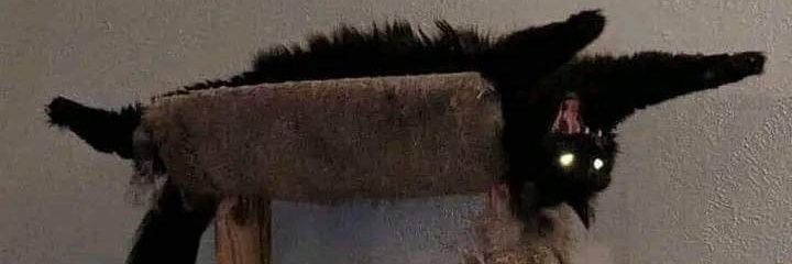 Dropping5Notes's profile banner image