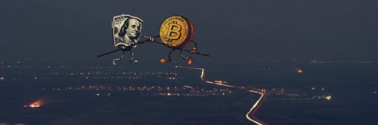 Crypto Piggie banner