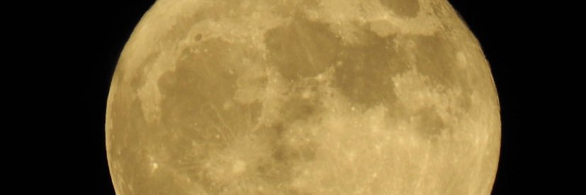 hi_wine's profile banner image