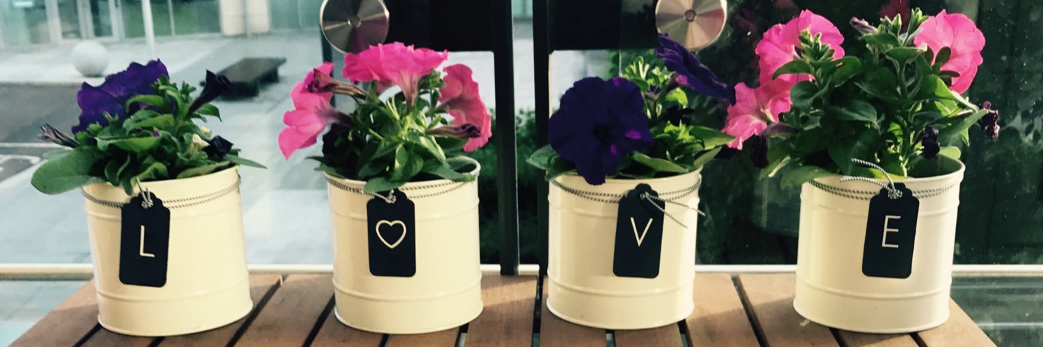 Dominic Codera banner