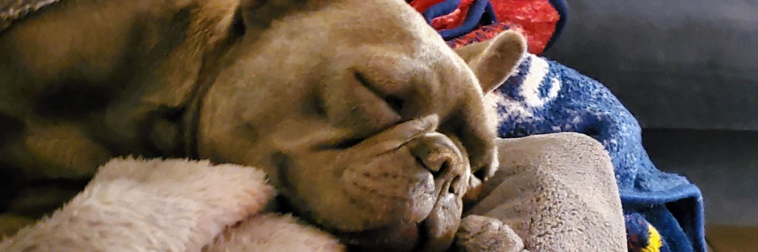 Andy Williams banner