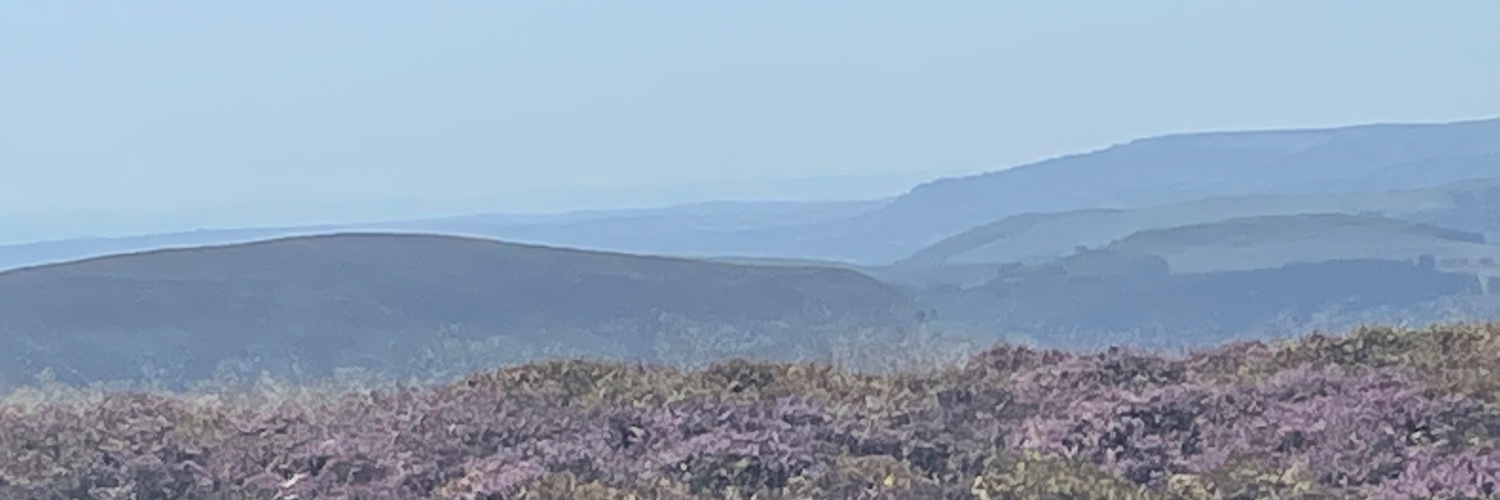 PYoungEvidence's profile banner image