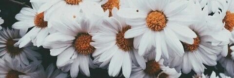 NiceSmileNiall's profile banner image