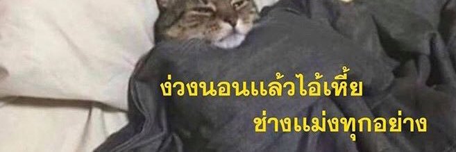 paloypc's profile banner image