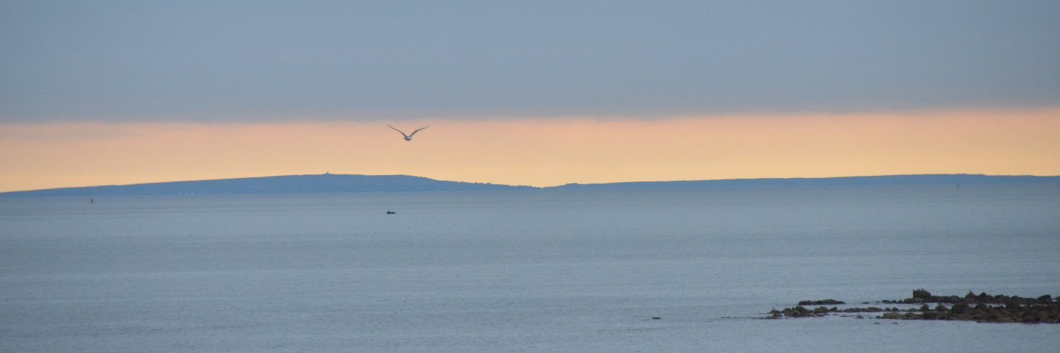 DorosPolykarpou banner