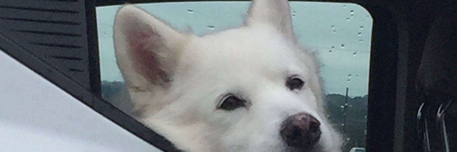 DCStinson's profile banner image