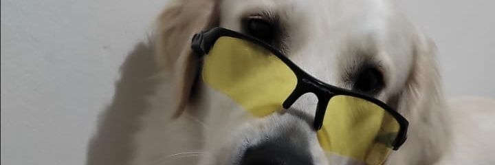 Robertodeoya's profile banner image