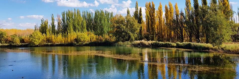 Gustavo Perret banner