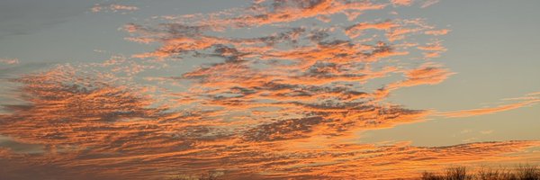 CoachRLHarris Profile Banner