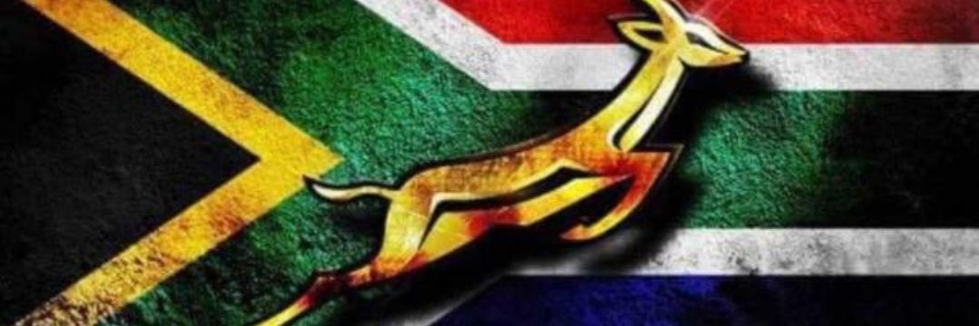 🇿🇦🇿🇦Ms Zama banner