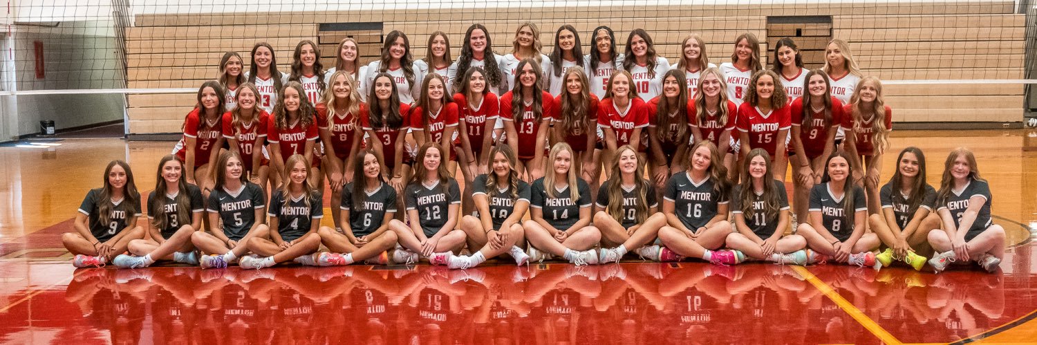 Mentor Volleyball banner