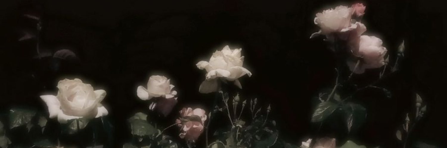 ˖ ݁𖥔 ݁˖ A ˖ ݁𖥔 ݁˖ banner
