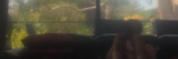 markcolate Profile Banner