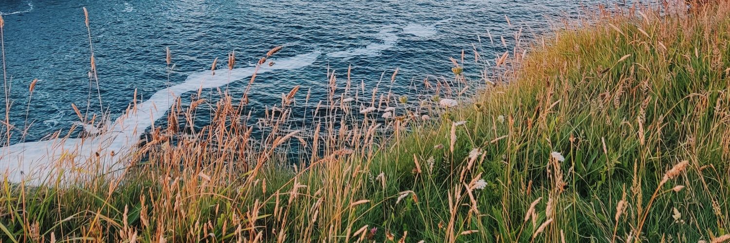 mariasbrock's profile banner image