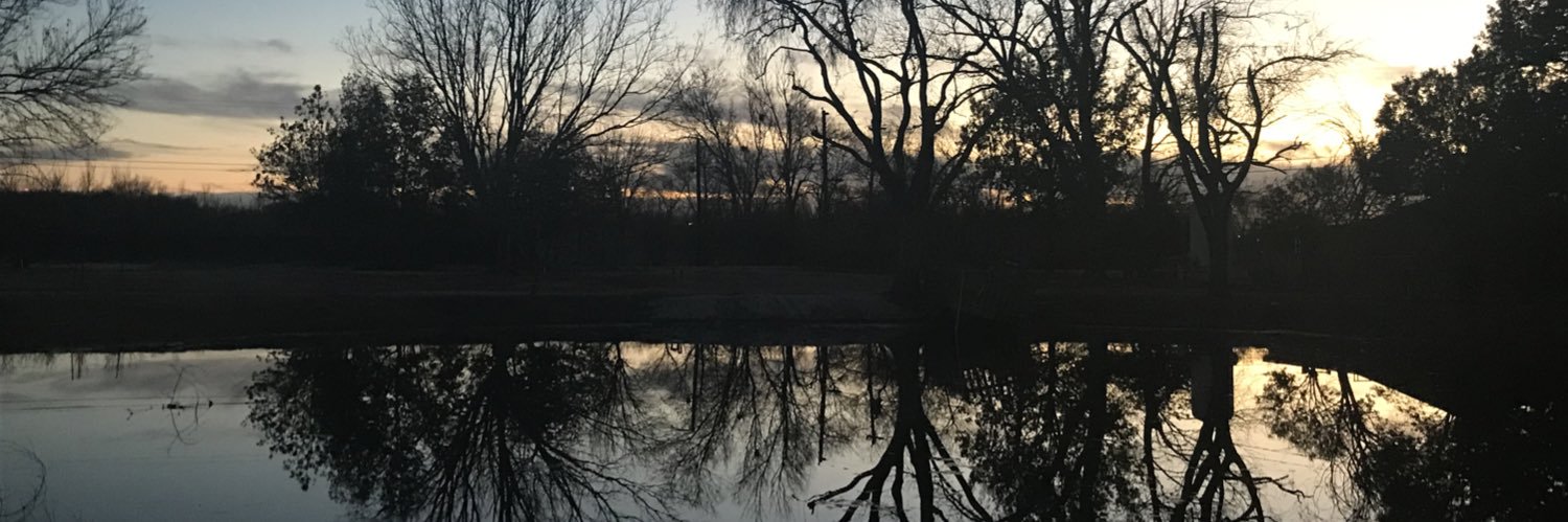 chelsybianca's profile banner image