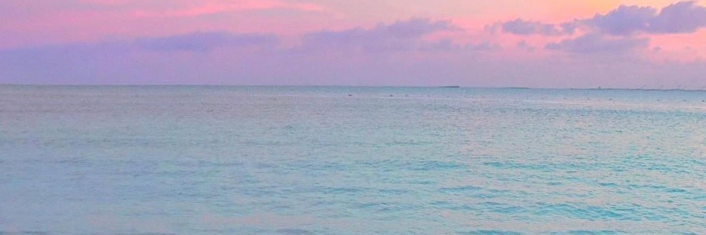 sofia_riosc's profile banner image