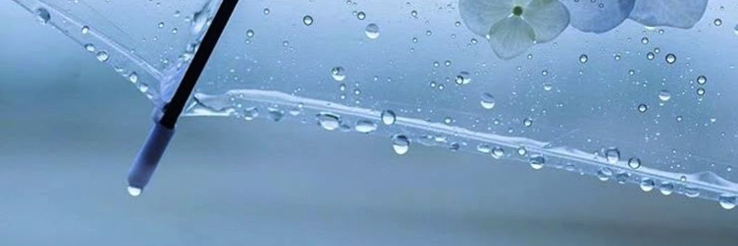 raindrops369369's profile banner image