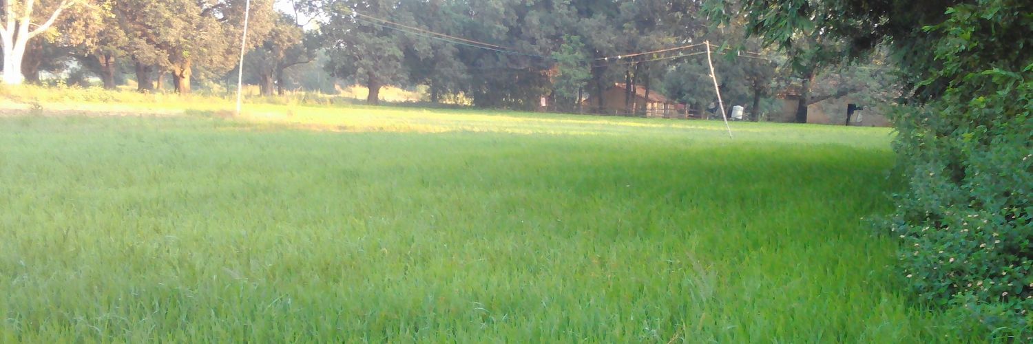 Satish_33's profile banner image