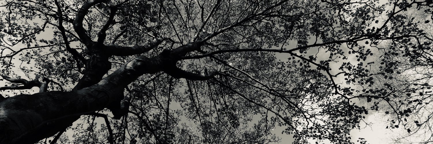 abhavgarg's profile banner image