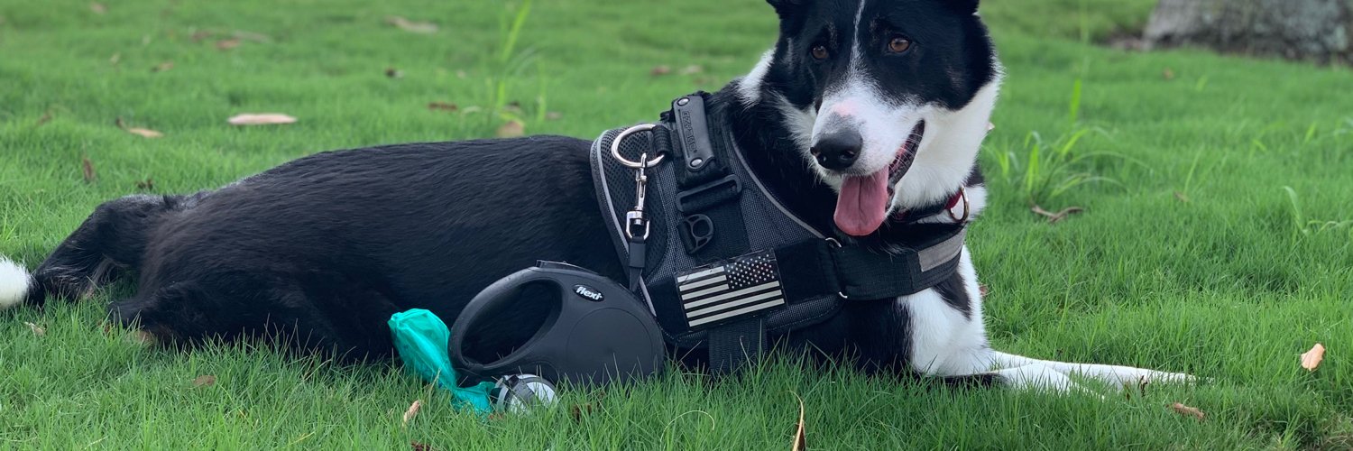 bailcam's profile banner image