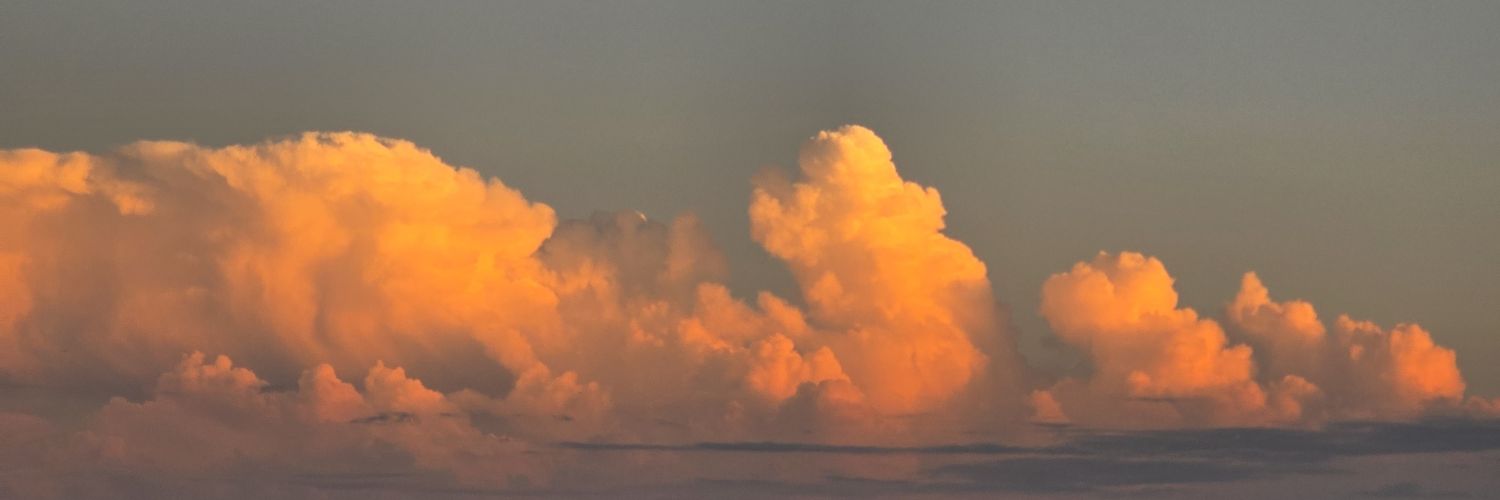 FerrantiChiara's profile banner image