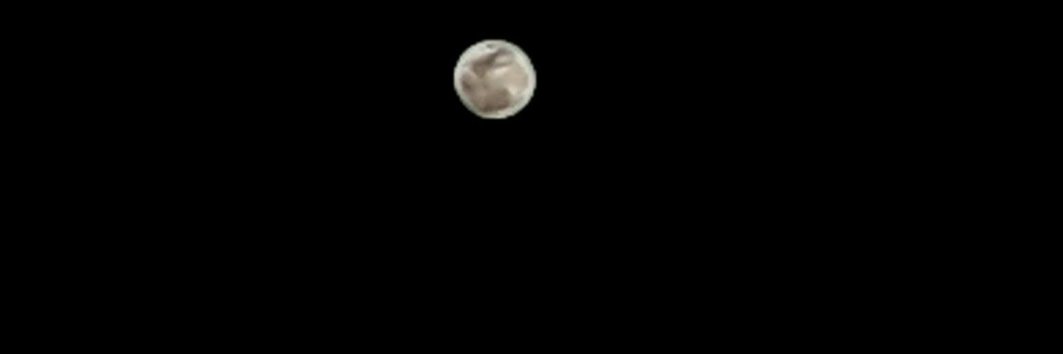 whiteprsche's profile banner image