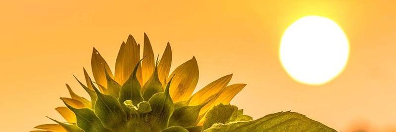 🤭 banner