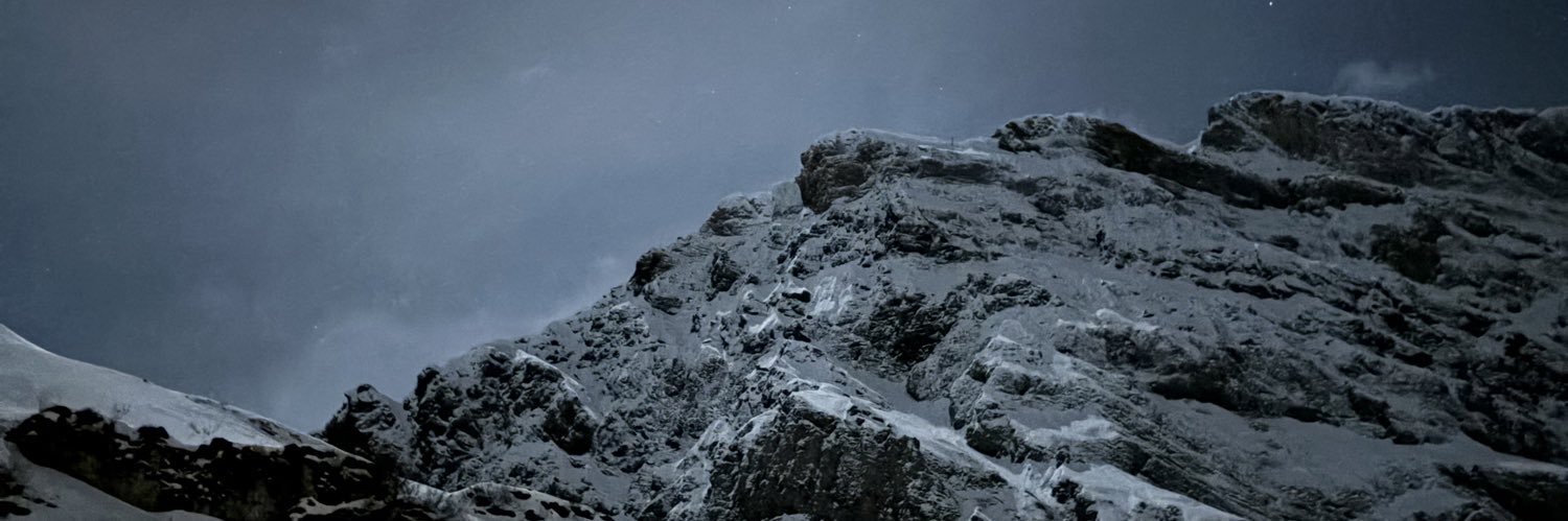 Manvir Schneider banner