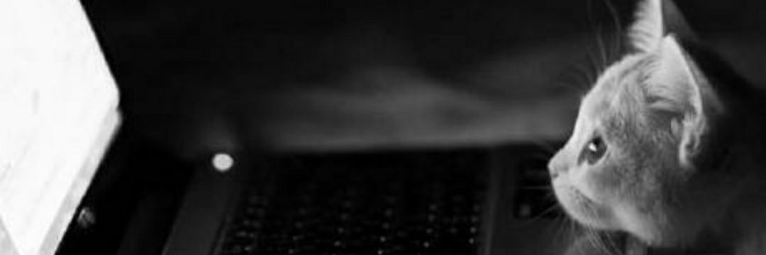 chouaibhm's profile banner image