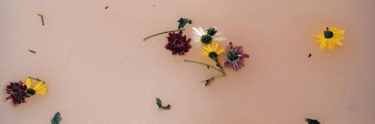 selinsenn's profile banner image
