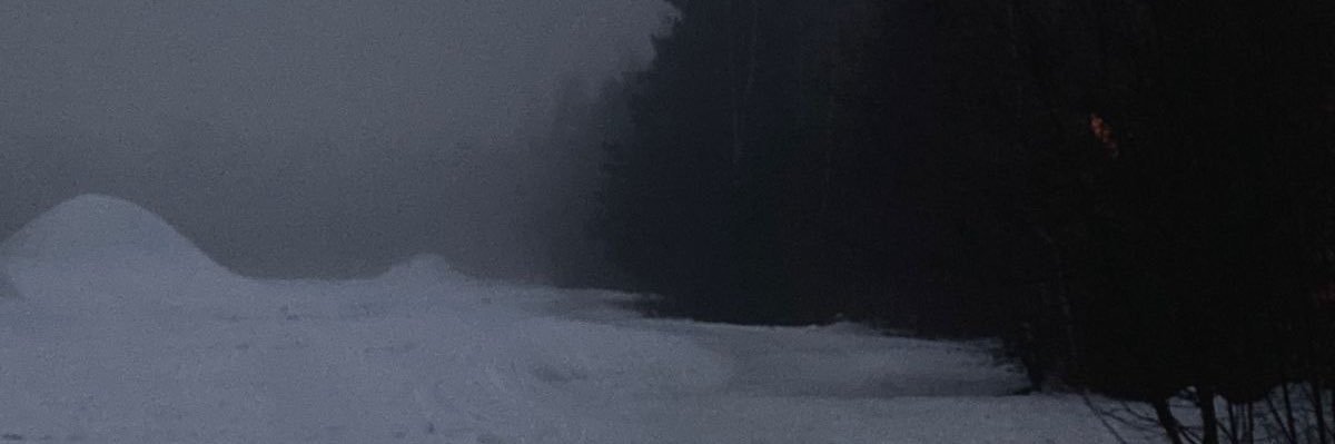 leon banner