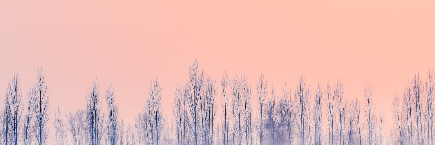crypto_mullins's profile banner image