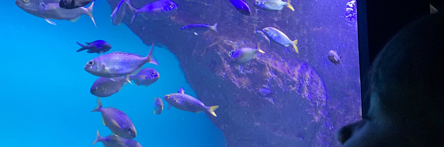 La bigoudaronne ☀️ banner