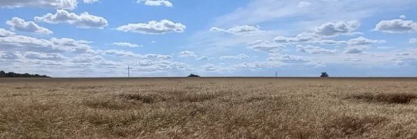 ttaitake Profile Banner