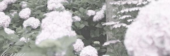 °•Snow•° banner