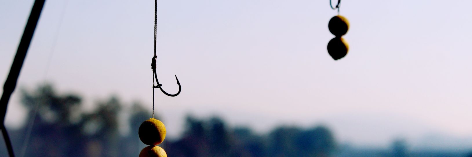 MolliVdMerwe's profile banner image