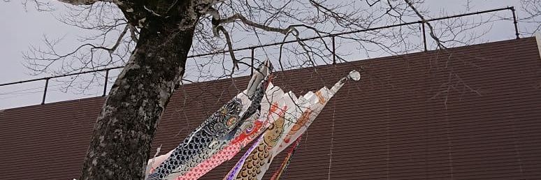 hiroaki🏂🐎🚤 banner