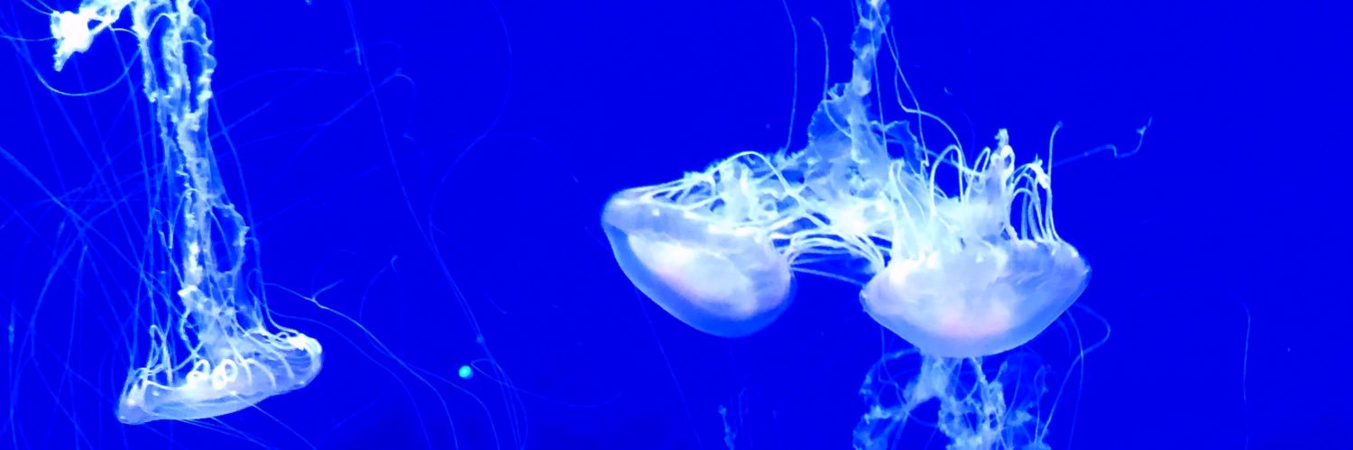 Dr Mathilde Tahar banner